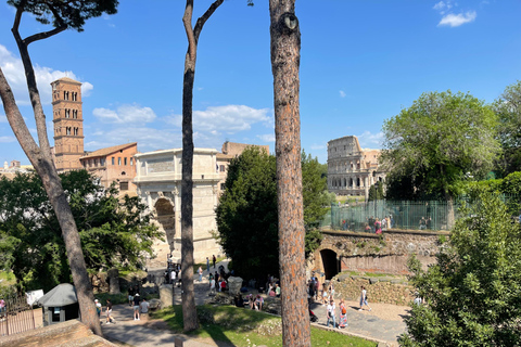 Colosseum: Audio Guide or Private Guided Tour Option 2: Colosseum Full Experience Private Guided Tour