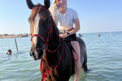 Hurghada: 1 HR Red Sea Swimming with Horses with Transfers Exclusive Family Package – 1 HR with Swimming & Transfers