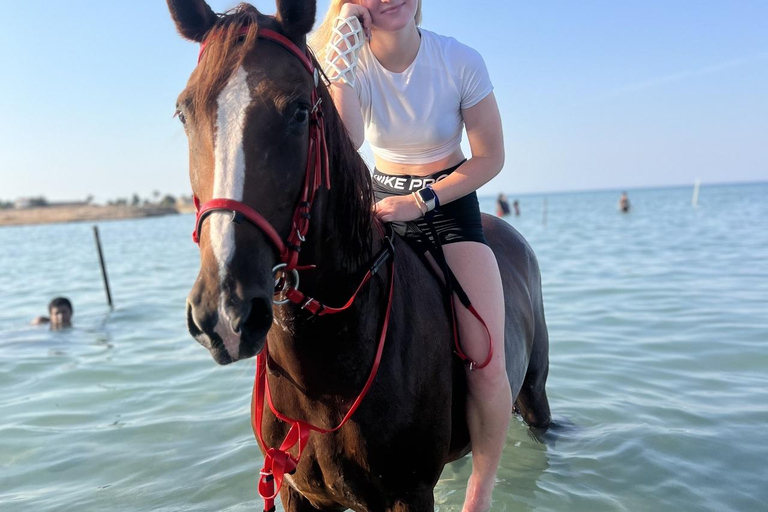 Hurghada: 1 HR Red Sea Swimming with Horses with Transfers Exclusive Family Package – 1 HR with Swimming & Transfers
