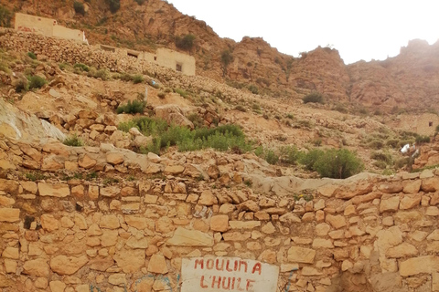 Von Djerba: 2-tägige Tour nach Tozeur, der Bergoase Matmata