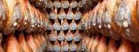 Parma, Prosciutto di Parma Tour - Housity