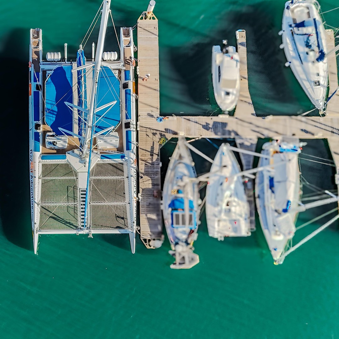 Gancio Portascope In Acciaio Inox A 3 Posti - Foto 9