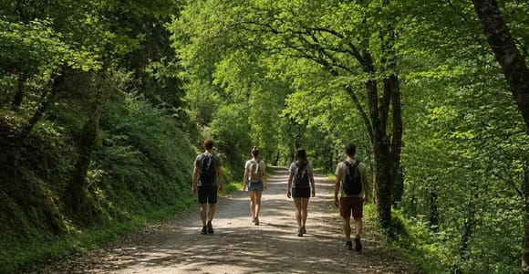 Ab Porto: Private Tour Peneda-Gerês mit Mikro-Reset