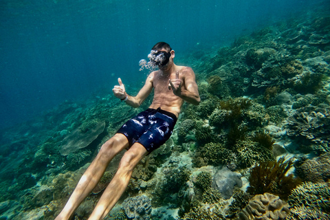 Bali : plongée avec tuba dans deux sites du Blue Lagoon, avec déjeuner et transportSnorkeling à deux sites dans le lagon bleu, rendez-vous au lieu de rendez-vous.