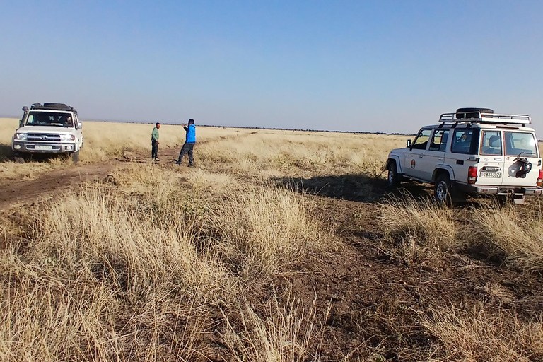"Doświadczenie safari w Parku Narodowym Awash"