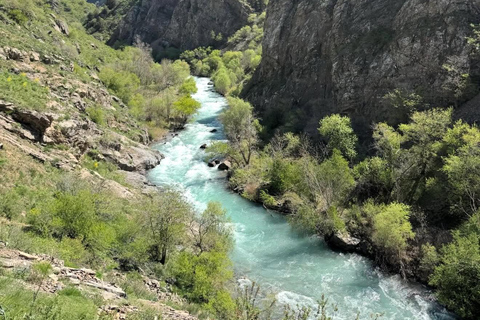 Best Of Tashkent: Premium Amirsoy, Chimgan and Charvak Lake Small Group Tour