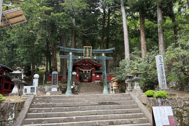 Tokyo: Nikko Private Day Tour with Pickup
