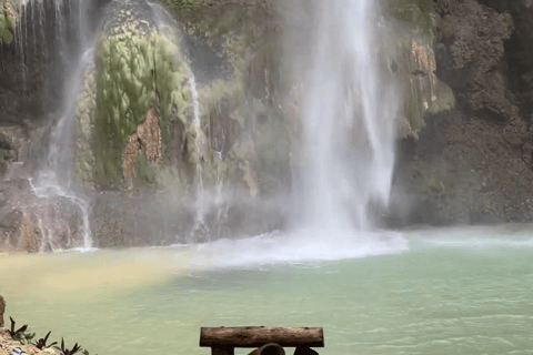 Oslob: Whale Sharks, Tumalog Falls & Sumilon Trio Adventure