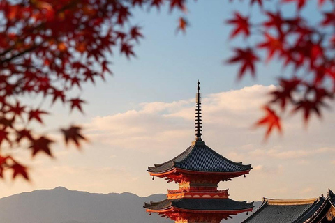 Kyoto & Nara: Exclusive Full-Day Private Tour with Pickup