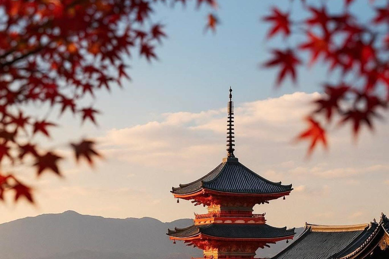 Kyoto & Nara: Exclusive Full-Day Private Tour with Pickup