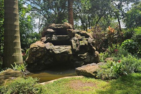 Nairobi: Half day Coffee Farm tour with a local guide