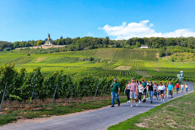 Guided wine hikes with 4 wines and cable car rideGuided wine hikes with 4 wines, cable car ride