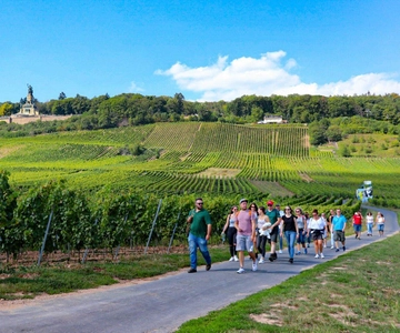 Rüdesheim - Begeleide wijnwandelingen met 4 wijnen en kabelbaantocht