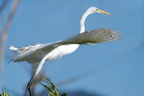 3-Day Tortuguero National Park Tour from San Jose