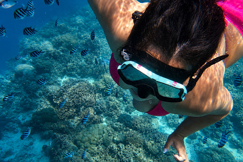 Cebu: 2-Day Camping, Kawasan & Moalboal Adventure
