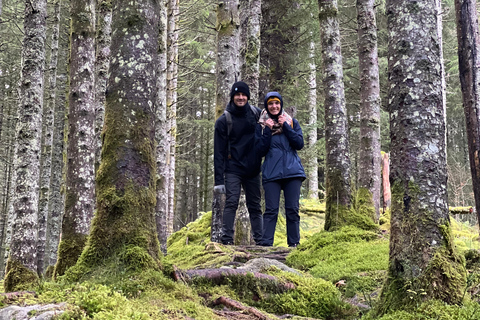 Bergen: Guided Nature Walk with Optional Floating Sauna Espanol