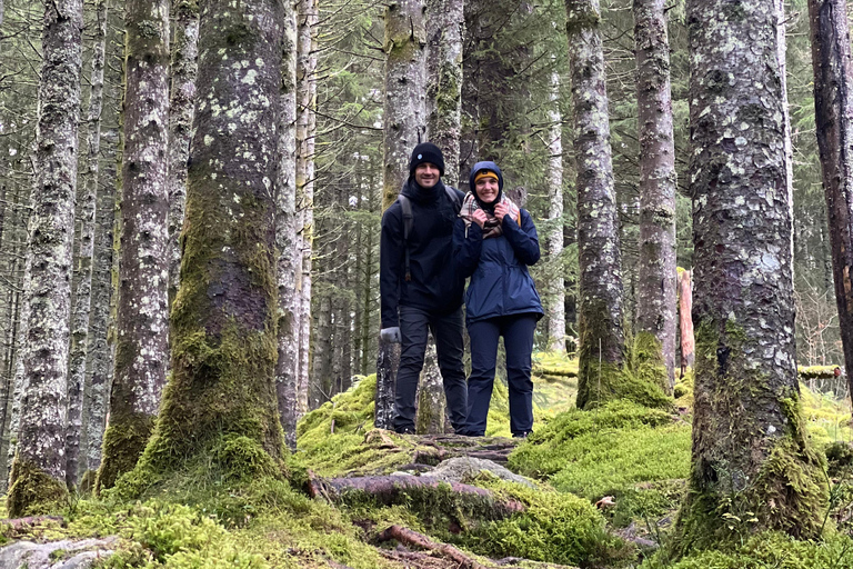 Bergen: Guided Nature Walk with Optional Floating Sauna Espanol