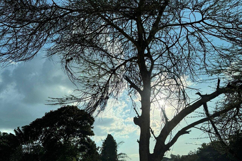 Nairobi: Evergreen Park Guided Tour With Entrance Fee