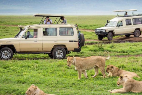 7 jours de safari en Tanzanie