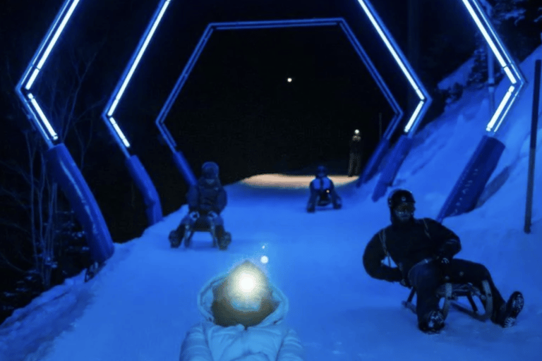 From Zurich: Alpine Mario Kart Light Ride — Snow & Stars