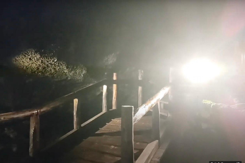 Haunted Hospital for Bravest Ghost Hunters & Silent Forest