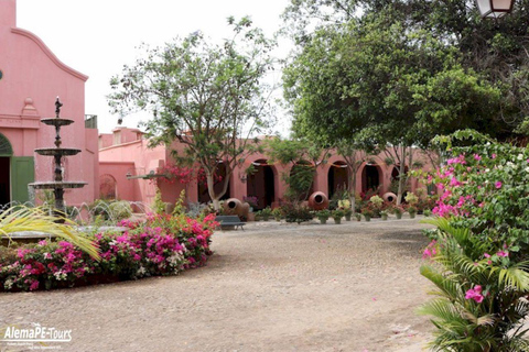 Ica: Pisco and Wine Tasting Tour with Hotel Pickup