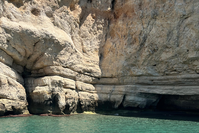 GUIDED BOAT TOUR 2H