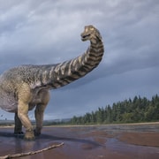 Australian Dinosaur Giants Tour
