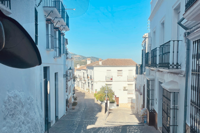 From Seville: White villages & Ronda day trip