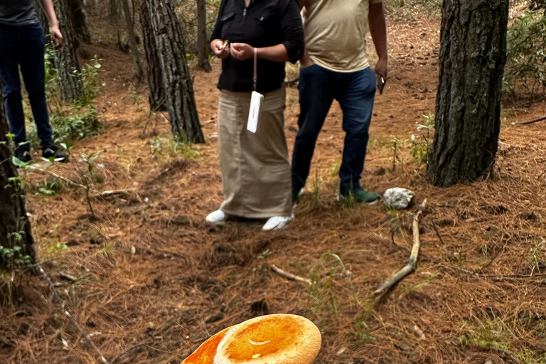 Lavender Ranch, Chautla and Val`Quirico. Private tour