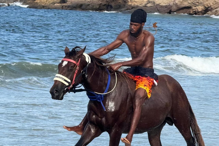 St. Lucia: Private Romance & Rose Horseback Experience