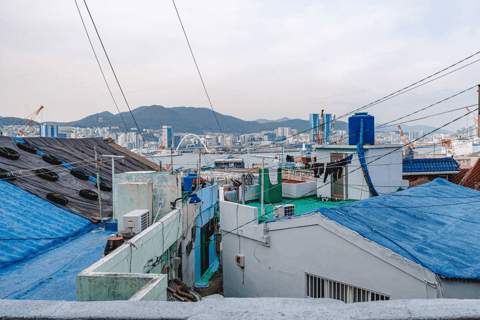 Busan: City Tour of 3 Historic Neighborhoods by Public Bus