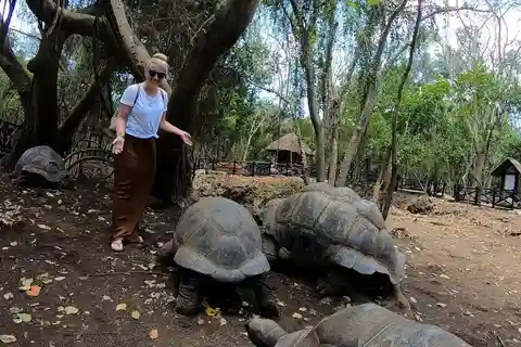 Prison island, Stone town and Sea turtles Sanctuary tour