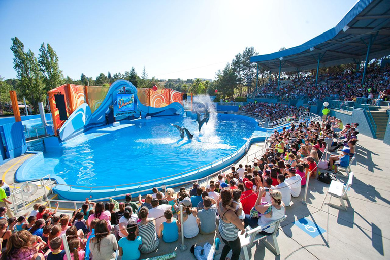 San Francisco: Six Flags Discovery Kingdom Admission Ticket Six Flags: Discovery Kingdom Good Any Day Ticket