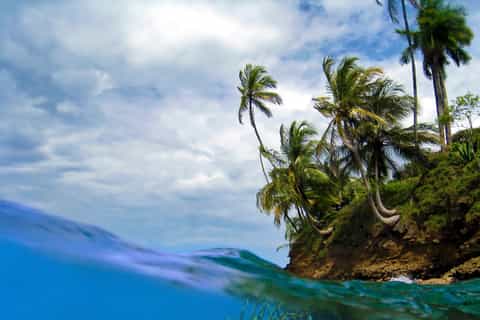 Caribbean Adventure: Snorkel & Zip Line Tour in Panama