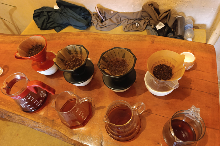 Cusco: Specialty Coffee Tasting-Sensory Experience (2 Hours)