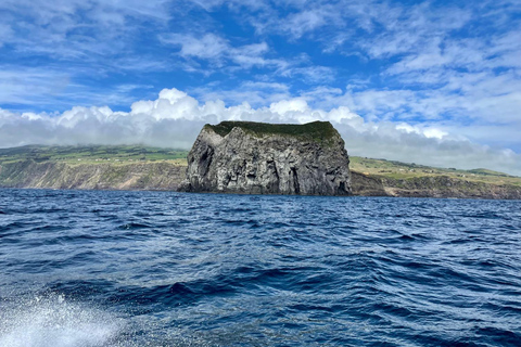 Isola di Faial: Tour unico in barca al vulcano Capelinhos