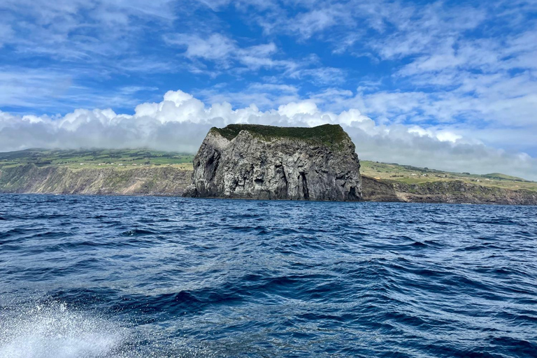 Faial Island: Unik båttur till vulkanen Capelinhos