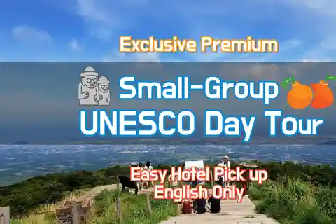 Jeju Premium Small Group UNESCO Day Tour - South