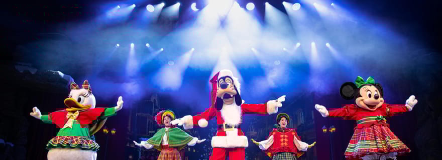 Billets 2/3/4 jours pour Disneyland® Paris