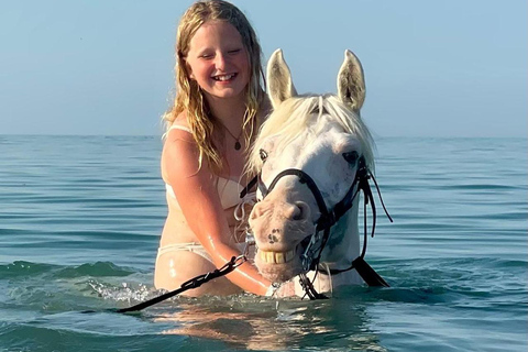 Hurghada: 1 HR Red Sea Swimming with Horses with Transfers Exclusive Family Package – 1 HR with Swimming & Transfers