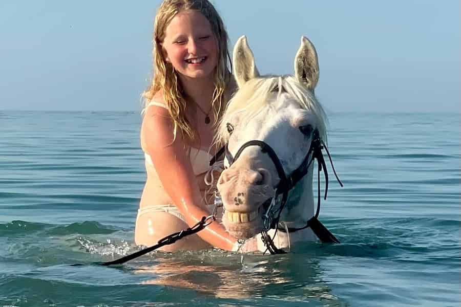 Hurghada: 1-stündiges Schwimmen mit Pferden im Roten Meer mit Transfers. Foto: GetYourGuide Hurghada: 1-stündiges Schwimmen mit Pferden im Roten Meer mit Transfers. Foto: GetYourGuide