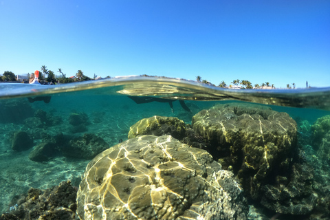 Réunion Island: Guided snorkeling tour in the lagoon. Réunion Island: Guided snorkeling tour in the lagoon