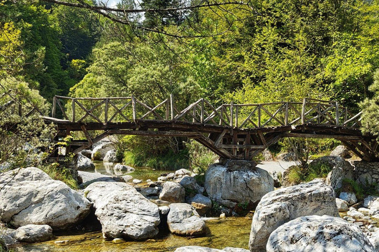 From Thessaloniki: Mt.Olympus–Dion, Litochoro & Enipeas