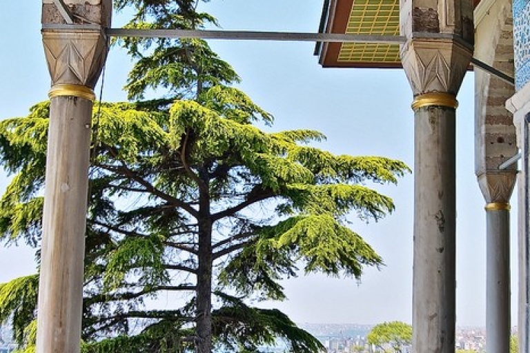 Experience Istanbul: Topkapi Palace Half-Day Guided Tour