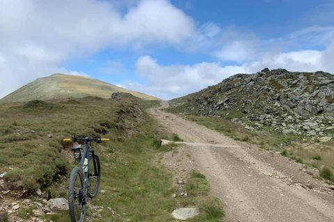Sinaia: Guided Mountain Bike Tour in the Bucegi Mountains