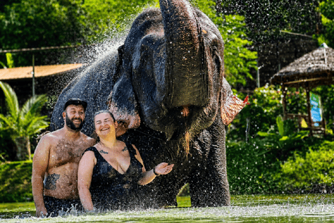 Jaipur: Elephant Sanctuary Experience with Transfer
