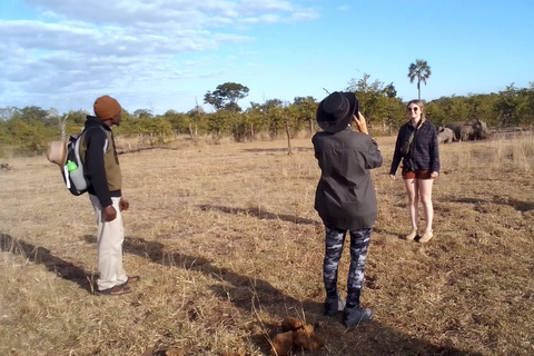 Livingstone: Mosi-oa-Tunya National Park Walking Safari