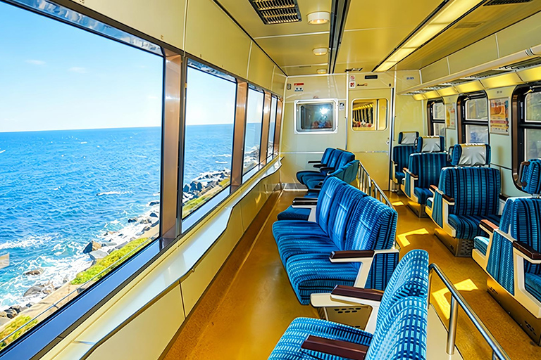 Small Group Day Tour:Omuro Mountain & the Izu Scenic Railway Hotel Transfer Option