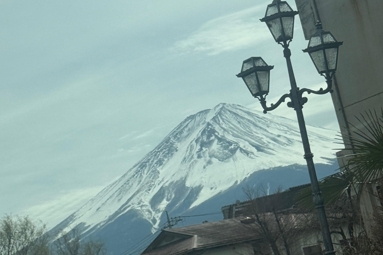 Tokyo: Mount Fuji and Hakone Private Helicopter Tour